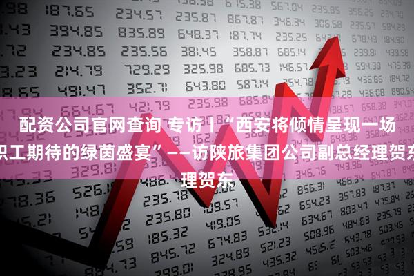 配资公司官网查询 专访丨“西安将倾情呈现一场职工期待的绿茵盛宴”——访陕旅集团公司副总经理贺东